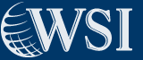 WSI Consultores